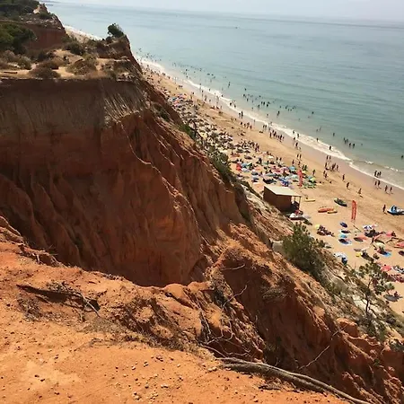 Lägenhet T1 Vue Mer, Proche De La Plage *